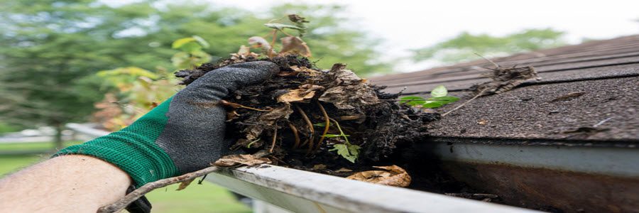 Why You Shouldn’t Skip Roof Maintenance Services This Spring