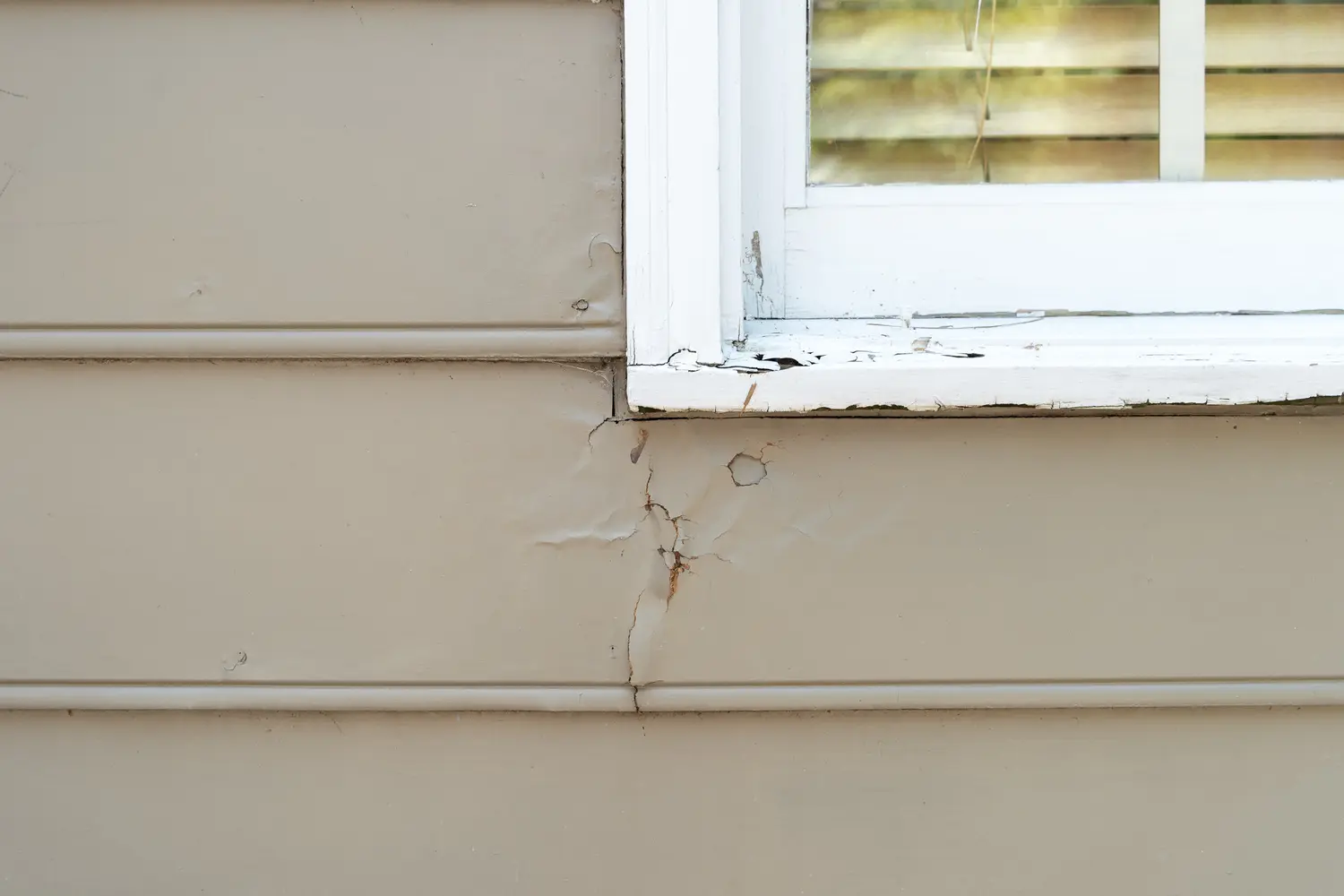 Can Damaged Siding Cause Interior Moisture or Mold?